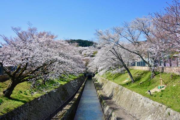 Inase Otsu Machiya Bed and Breakfast