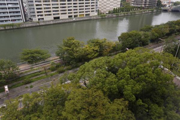 Hotel NCB