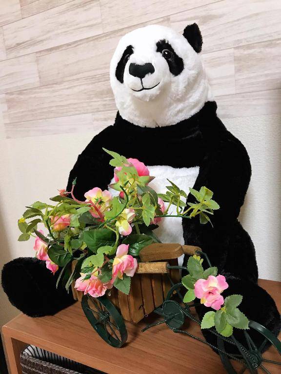 Home In (In Front Of Osaka Dorm)