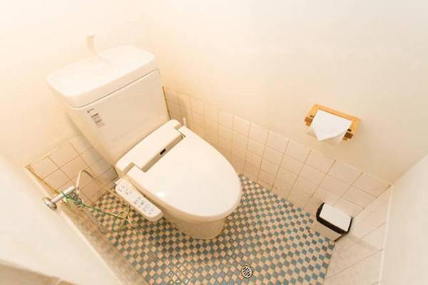 Taisho Terrace House