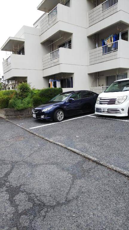 Cherry Blossom Koseicho