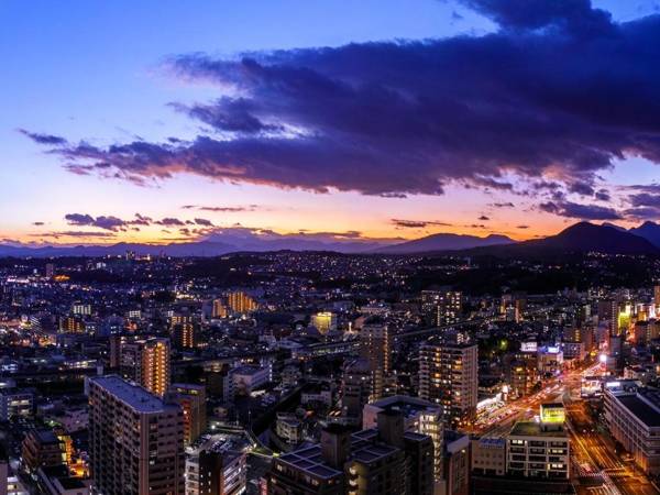 Hotel Nikko Oita Oasis Tower