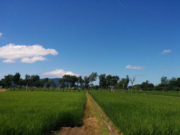 Iwamuro Slow Hostel