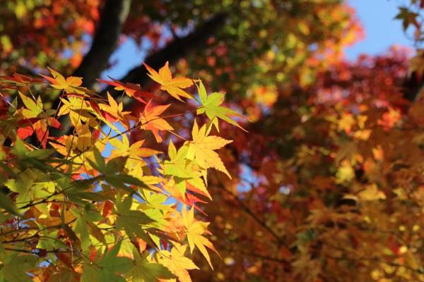 Nara Guesthouse 3F