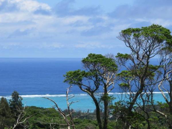 Okinawa Freedom