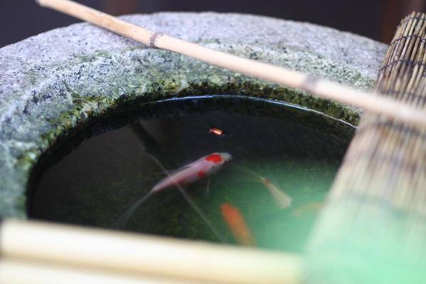 Guesthouse KYOTO COMPASS