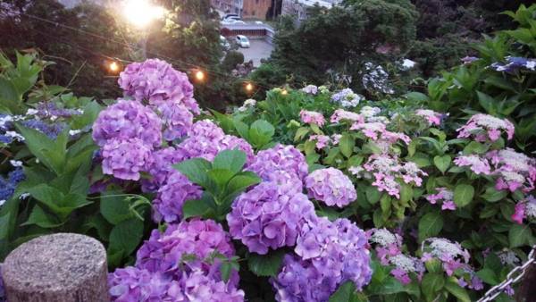 Kyoto-Gion Tourist House