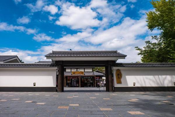 Sotetsu Grand Fresa Kumamoto