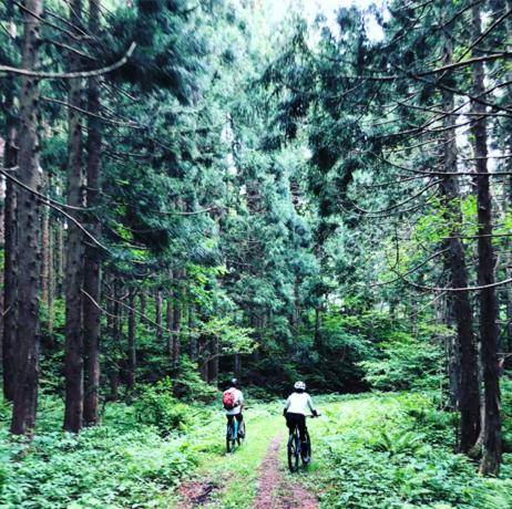 The Guest House Japan Hakuba