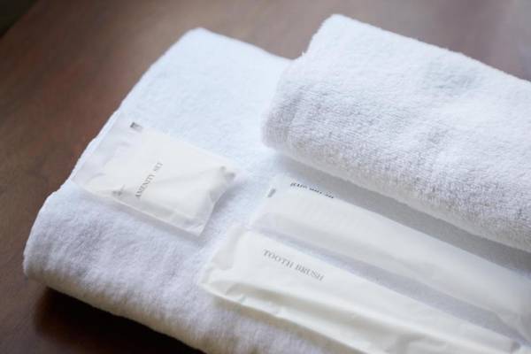 mizuka Imaizumi 2 - unmanned hotel -