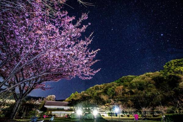 Hotel Laforet Shuzenji