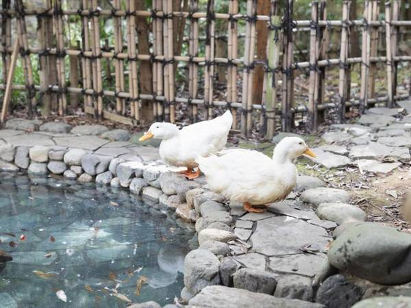 Hana no Omotenashi Nanraku Hot Spring Ryokan