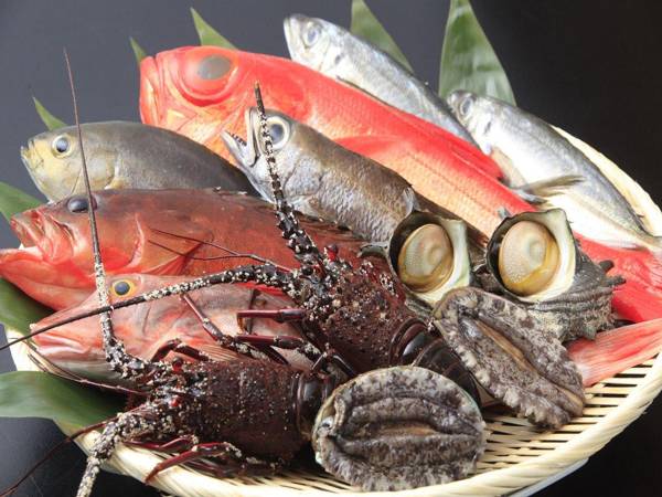 Shimoda Bay Kuroshio