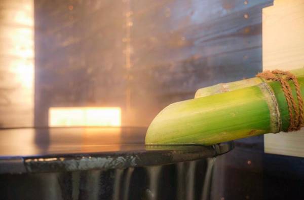 かわもと別邸3466