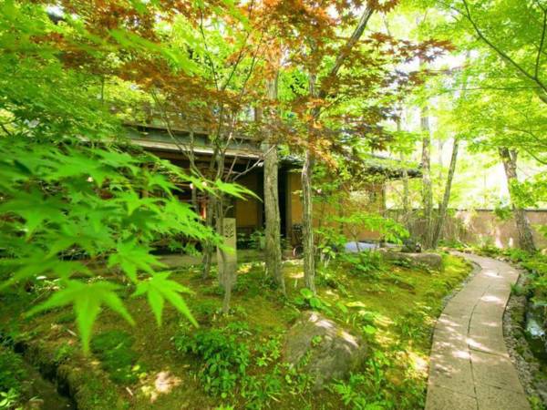 Oyado Nihon no Ashitaba