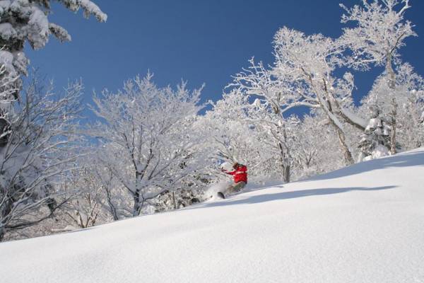 Furano Natulux Hotel