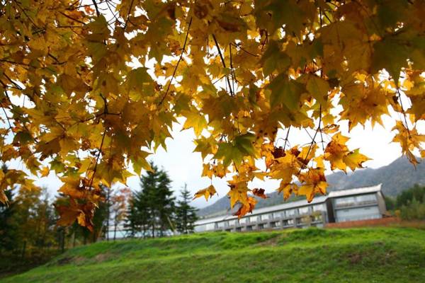 Furano Hotel