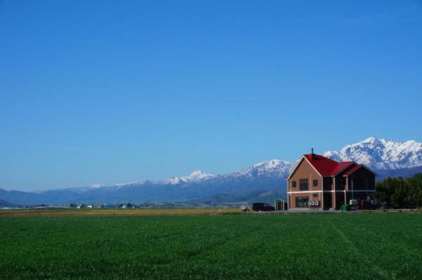 B&B Plus+ Shooting Star