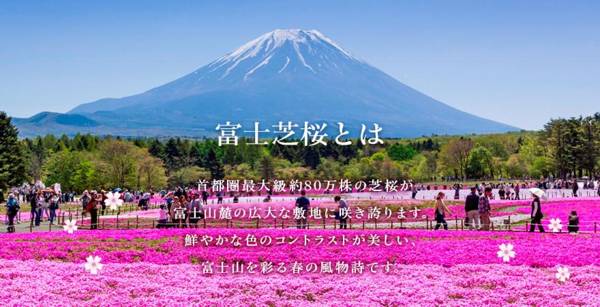 Fuji Mountain Resort Hotel