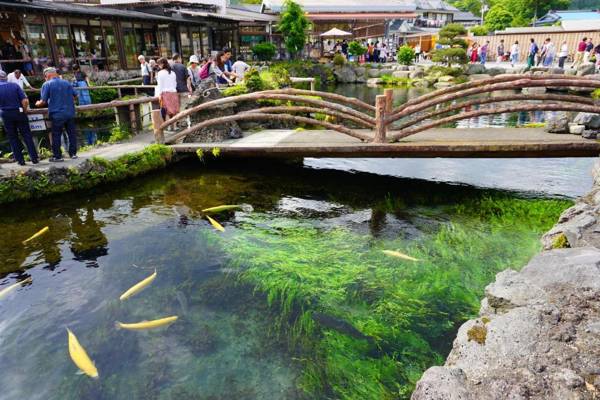 晴家(HALELUYA) Guest House