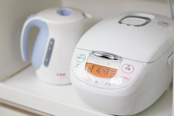 Erable Mt.Fuji "Kaze"