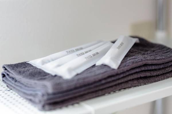 Erable Mt.Fuji "Zen"