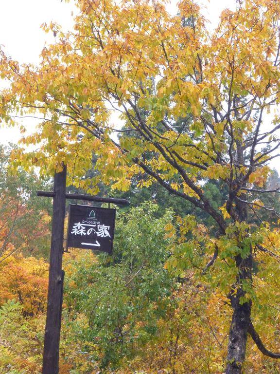 Nabekura Kougen Heights Mori-No-Ie