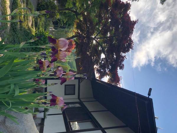 Owls inn