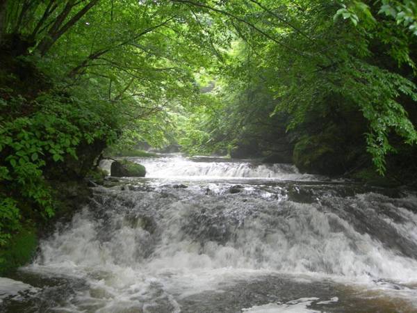 Shirakaba Lake Pension Sawa Rouge