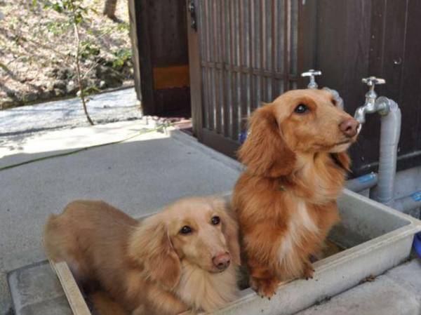 Onsenyado Ogasawara Aso