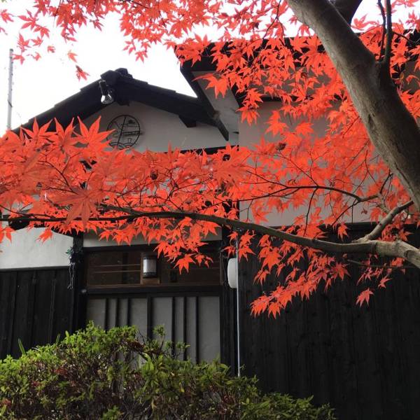 Bamboo Village Guest House