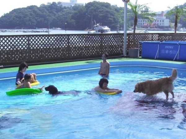 Izumigo Toba Dog Paradise Hotel