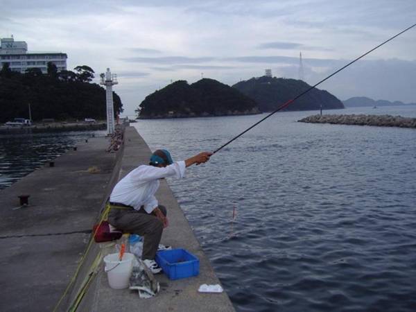 Izumigo Toba Dog Paradise Hotel