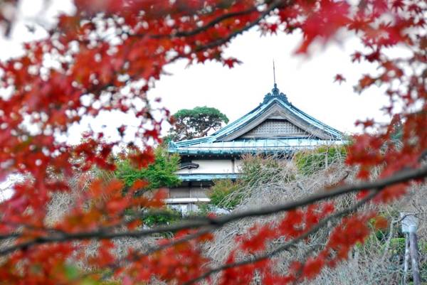 Hakone Kowakien Mikawaya Ryokan