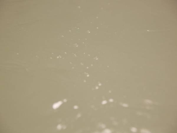 自家源泉かけ流しの宿 箱根翠泉