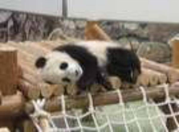 Pet Friendly Kokumin-Shukusha BayLily Shirayuriso