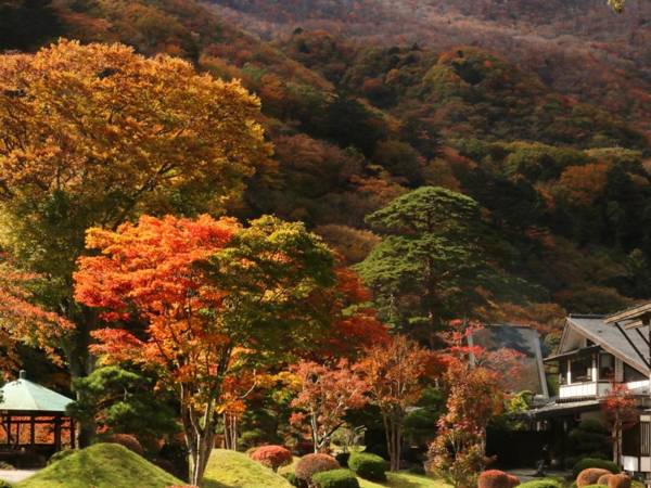 Itamuro Onsen Daikokuya