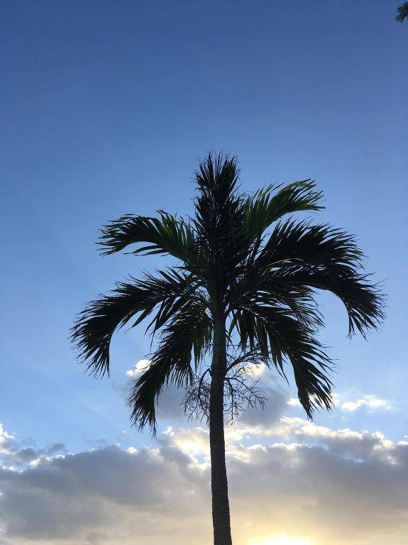 Y' RISE TO HOTEL Miyakojima