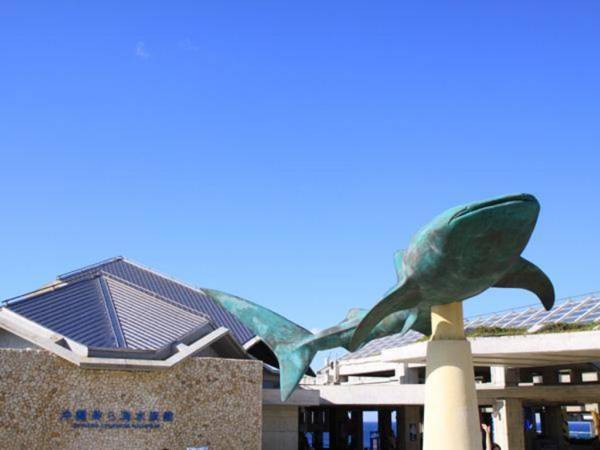 Condominium Uminchu No Yado