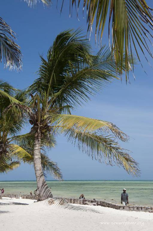 Jacaranda Beach Resort