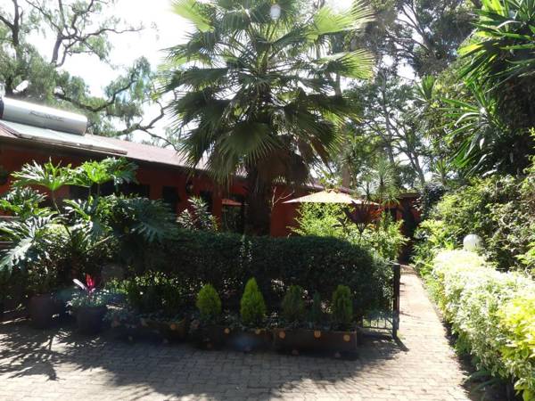 Lake View Studios