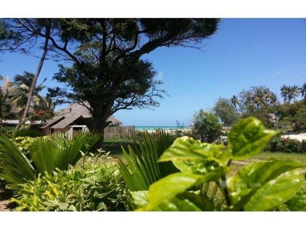 Big Tree Beach Hotel