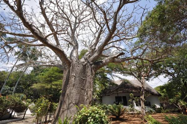 Baobab Sea Lodge