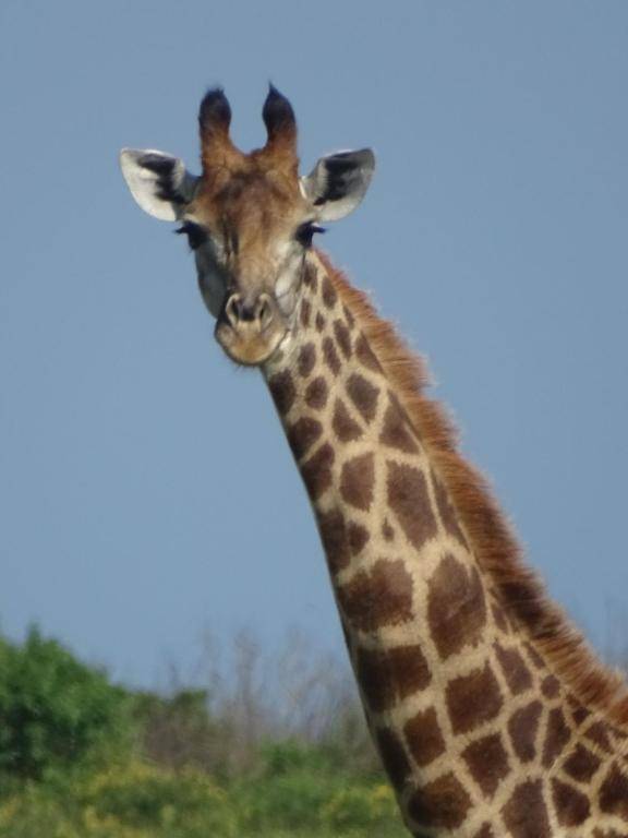 Oseki Maasai Mara Camp