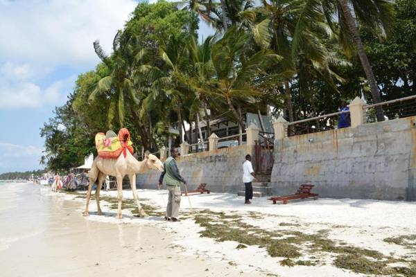 Neptune Beach Resort - All Inclusive