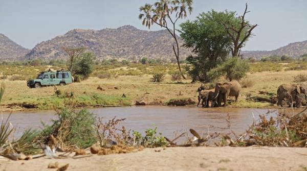 Ashnil Samburu Camp