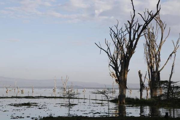 Lake Naivasha Resort