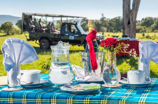 Losokwan Luxury Tented Camp - Maasai Mara