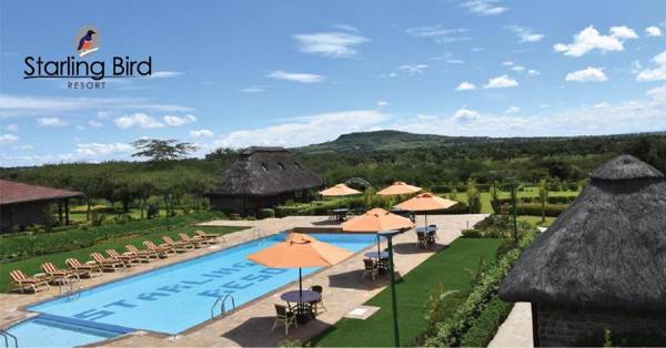 Starling Bird Resort