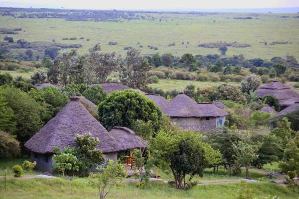 Jacaranda Bush Camp